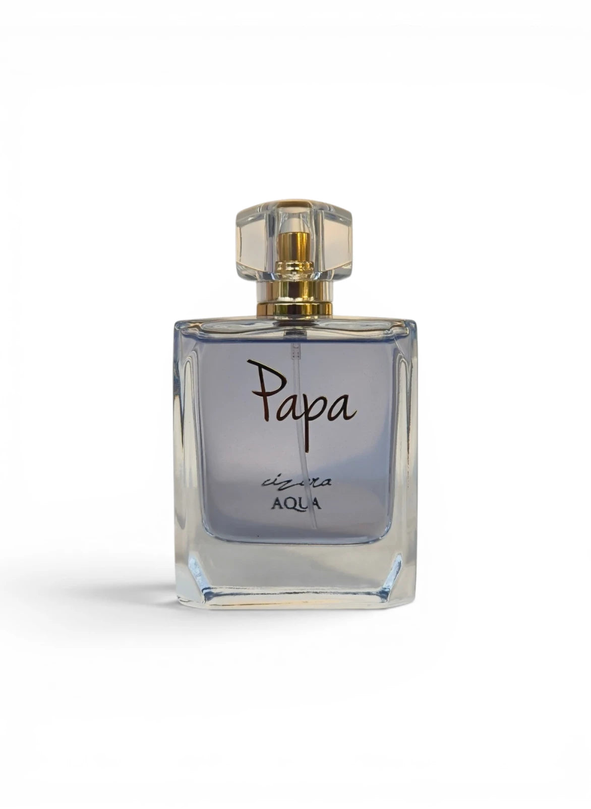 Father's Day Special Perfume | Aqua 100ml Single Perfume
